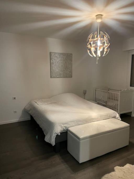 Appartement Cosy Strasbourg Schiltigheim Kültér fotó