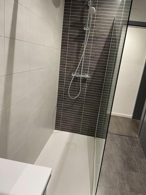Appartement Cosy Strasbourg Schiltigheim Kültér fotó